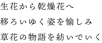 生花から乾燥花へ移ろいゆく姿を愉しみ草花の物語を紡いでいく